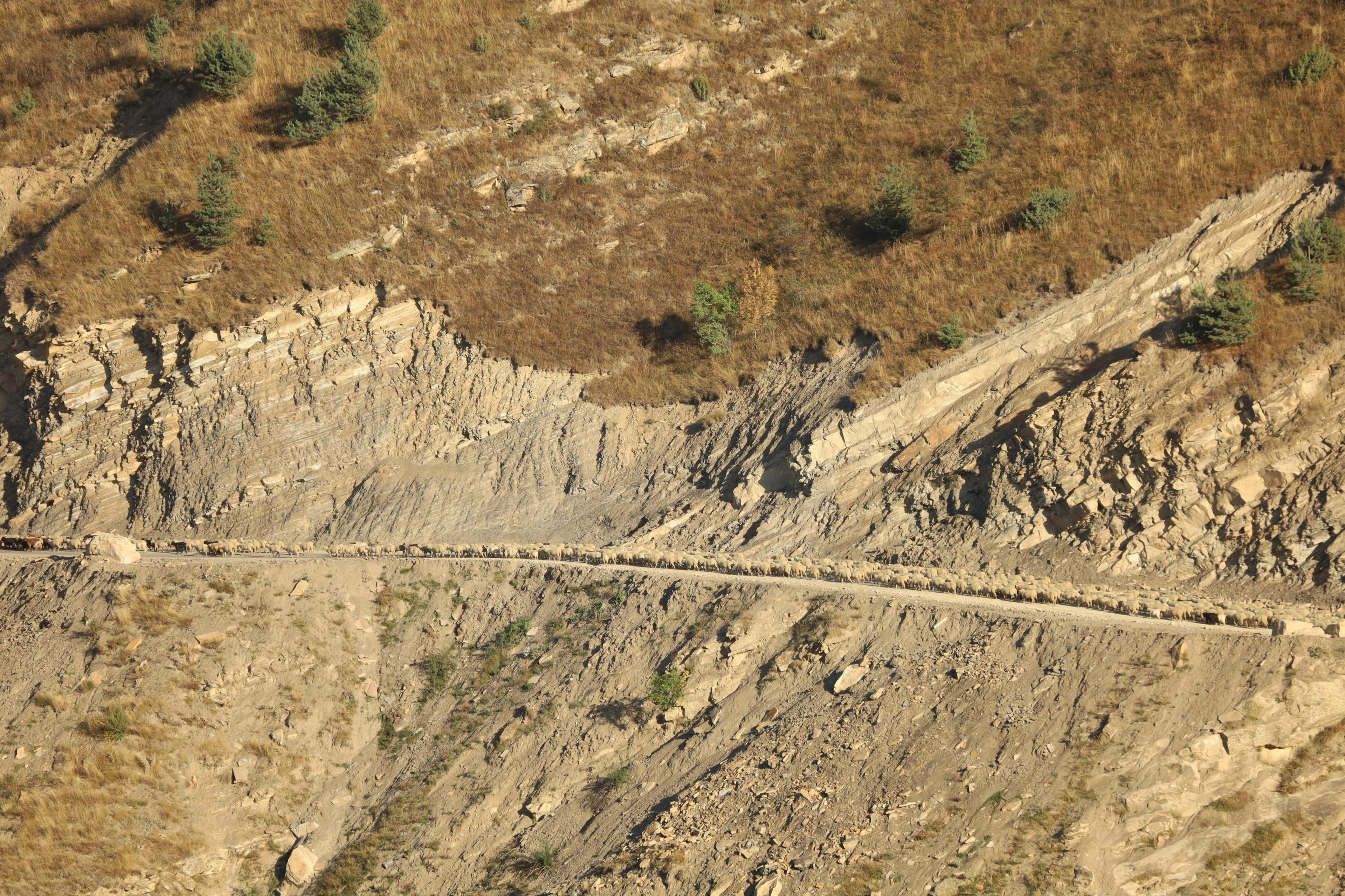 Landslide Monitoring, InSAR-based ground motion analytics to detect slope instability, identify landslide-prone zones, and monitor active slides over time