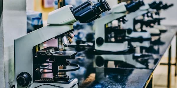 Research Institutions