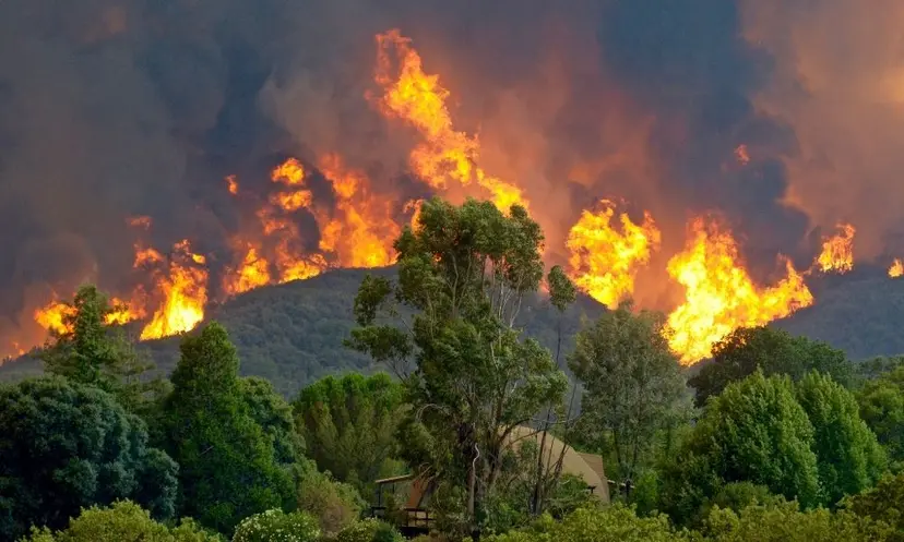 Wildfire Detection